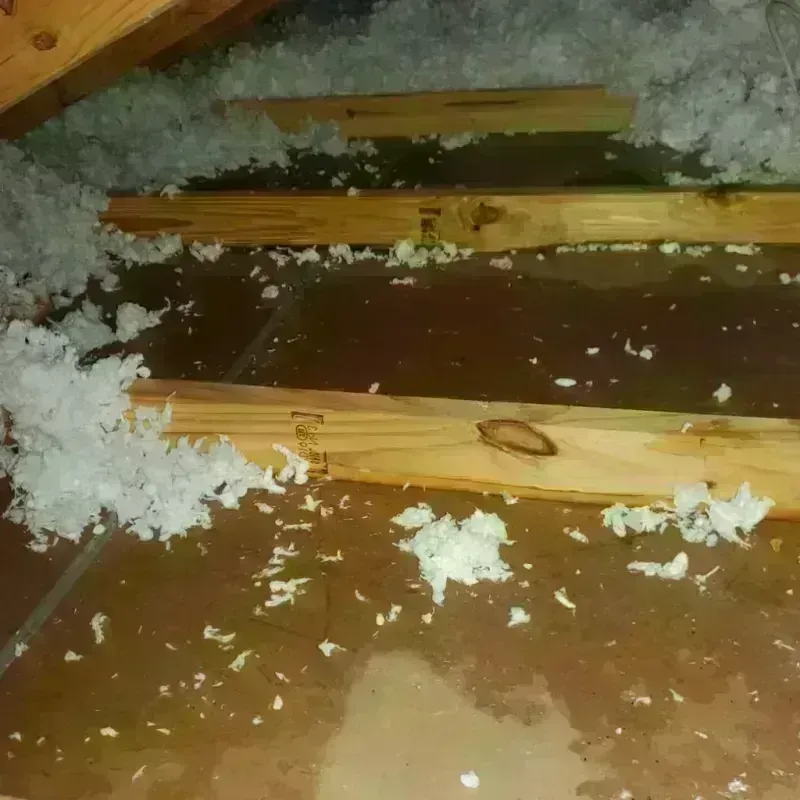 Attic Water Damage in Hagerman, NM