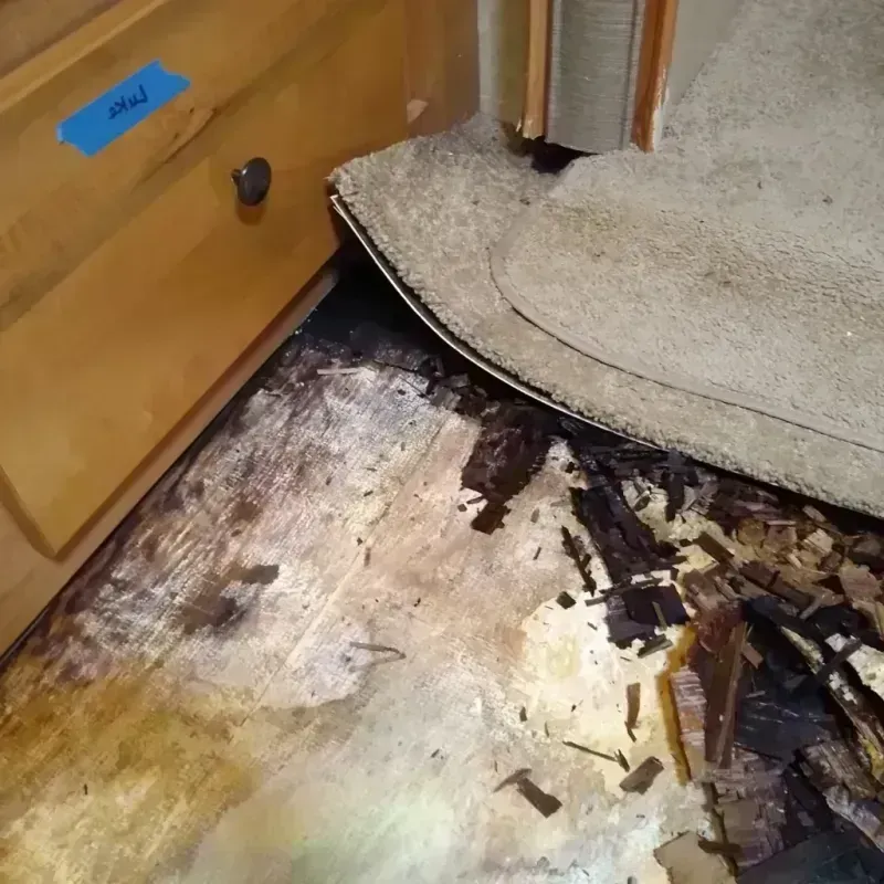 Best Wood Floor Water Damage Service in Hagerman, NM